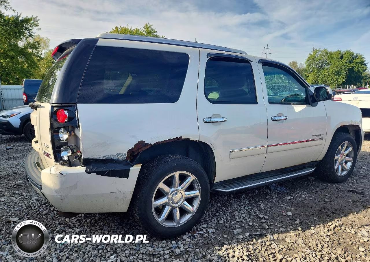 2010 GMC Yukon Denali VIN:1GKUKEEF5AR289738 - 3