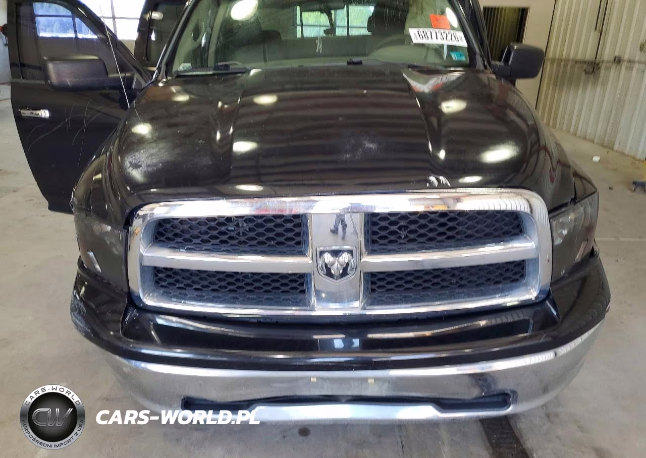 2010 Dodge Ram 1500 VIN:1D7RV1GPXAS226866 - 11