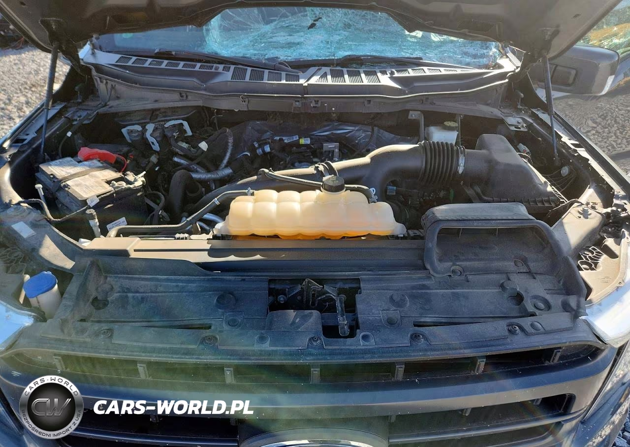 2021 Ford F150 Supercrew VIN:1FTEW1EP5MFC53964 - 11