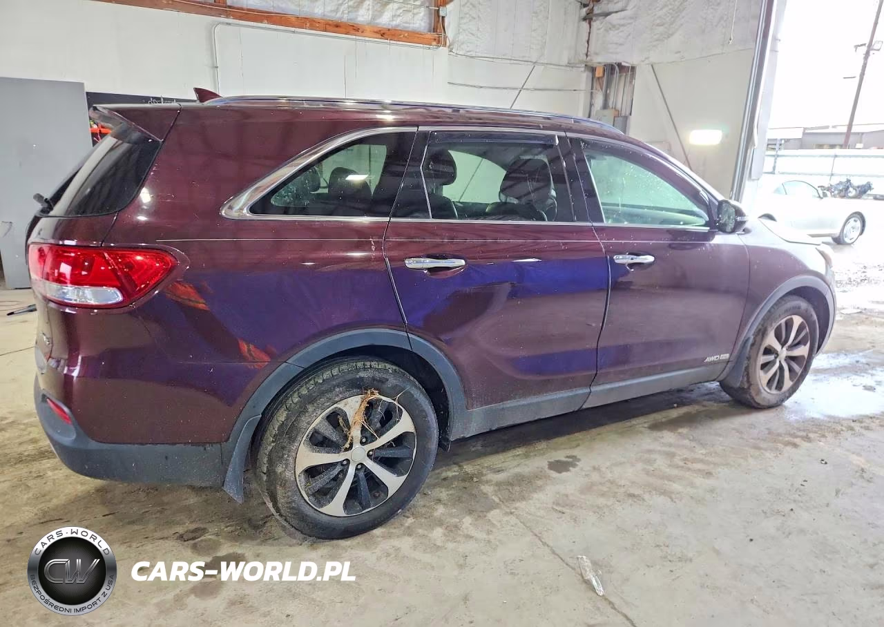 2016 Kia Sorento Ex VIN:5XYPHDA56GG160252 - 3
