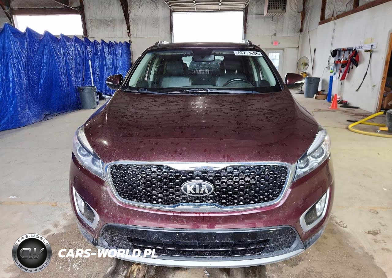 2016 Kia Sorento Ex VIN:5XYPHDA56GG160252 - 5