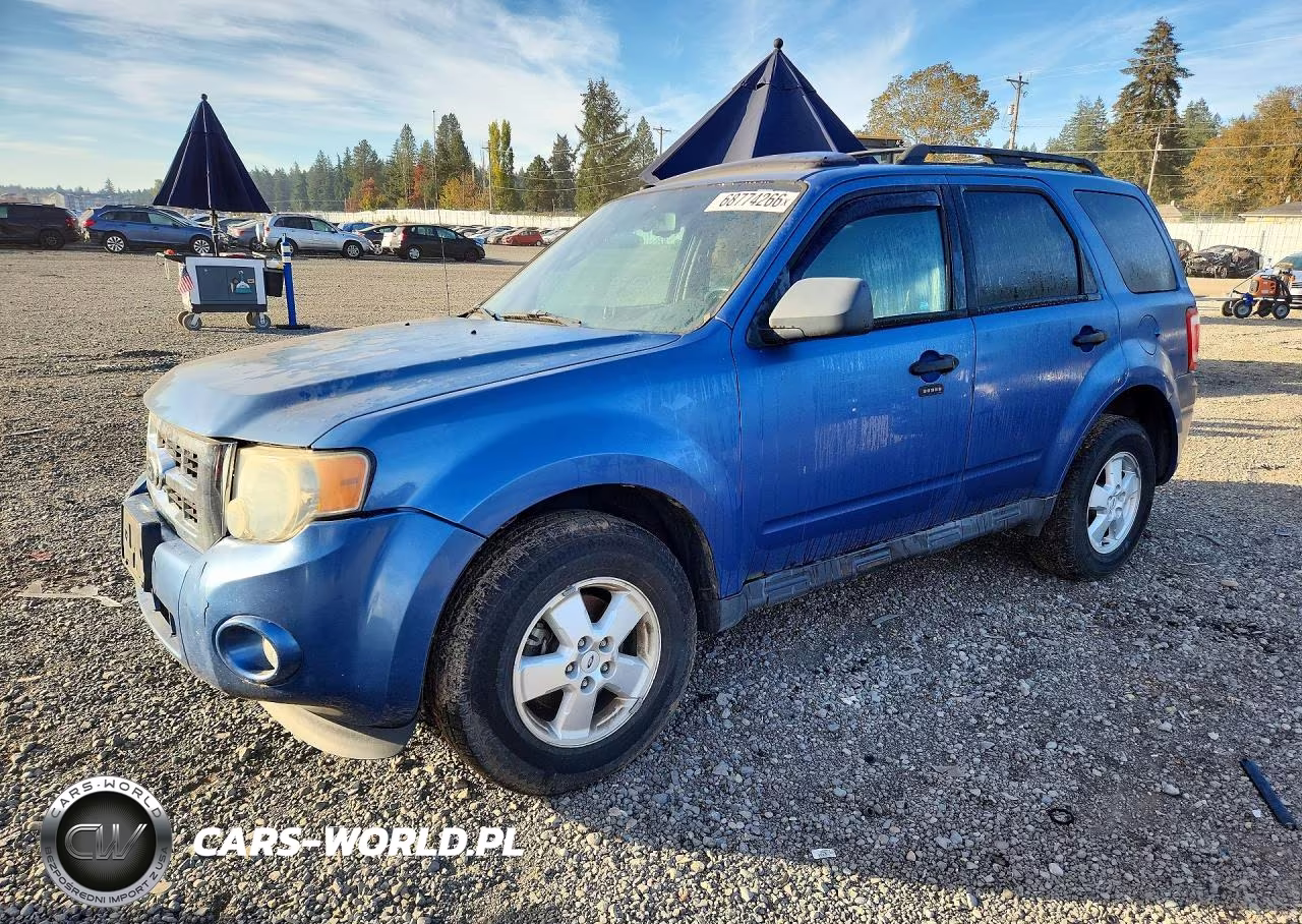 2010 Ford Escape Xlt