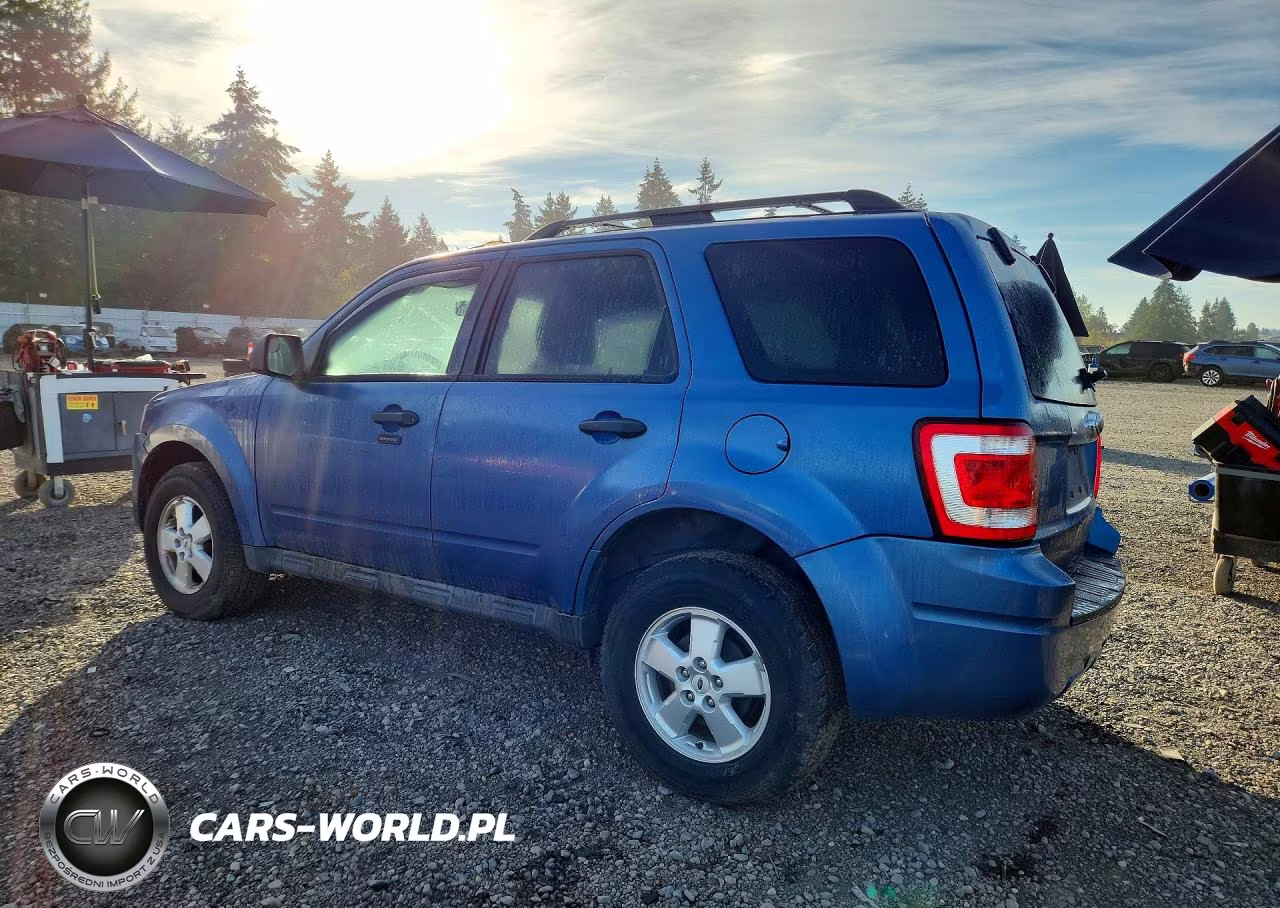 2010 Ford Escape Xlt VIN:1FMCU9DG6AKB80843 - 2