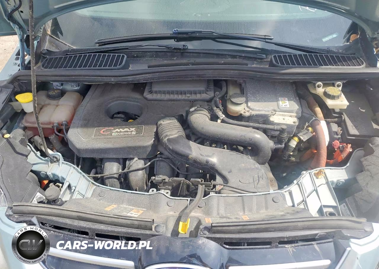 2014 Ford C-Max Premium VIN:1FADP5CU9EL512151 - 11