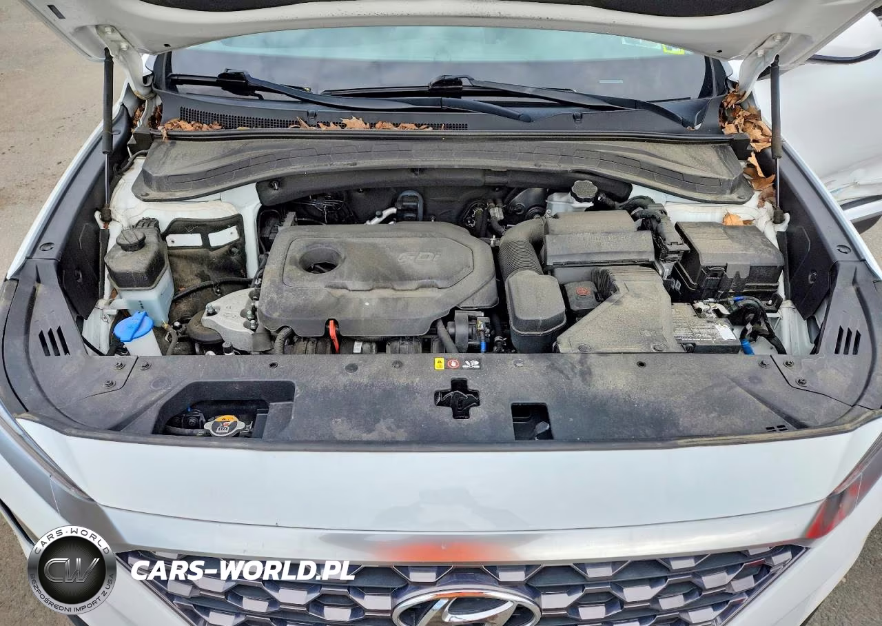 2020 Hyundai Santa Fe Sel VIN:5NMS3CAD7LH285254 - 12