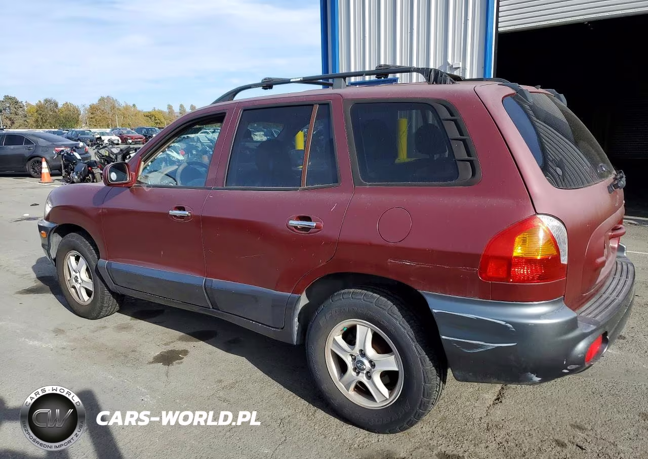 2004 Hyundai Santa Fe Gls VIN:KM8SC13E34U585387 - 2