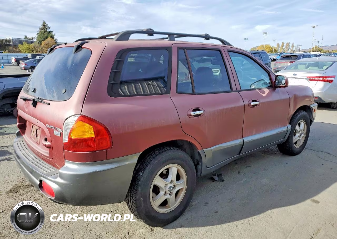 2004 Hyundai Santa Fe Gls VIN:KM8SC13E34U585387 - 3