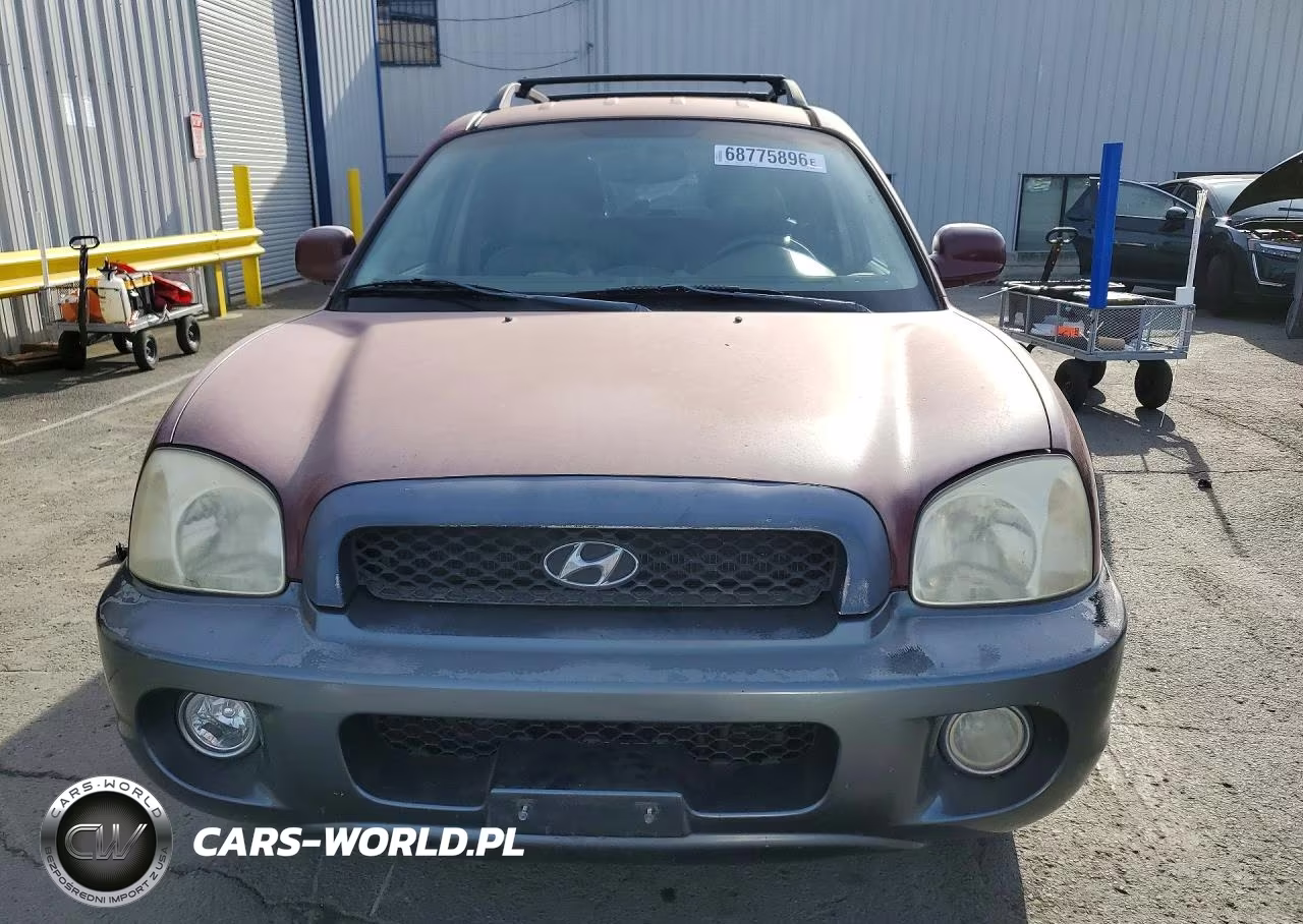 2004 Hyundai Santa Fe Gls VIN:KM8SC13E34U585387 - 5