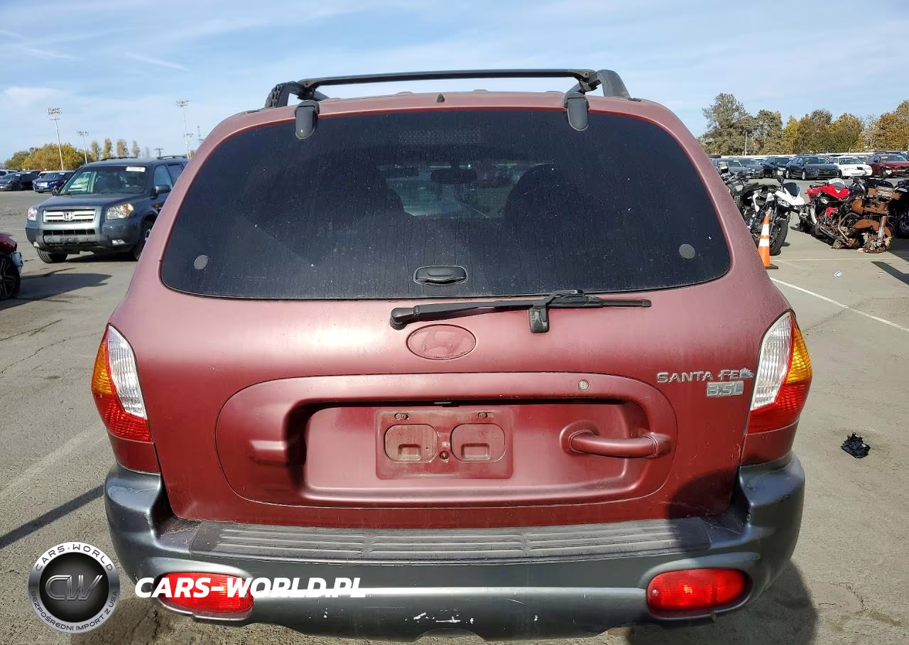 2004 Hyundai Santa Fe Gls VIN:KM8SC13E34U585387 - 6