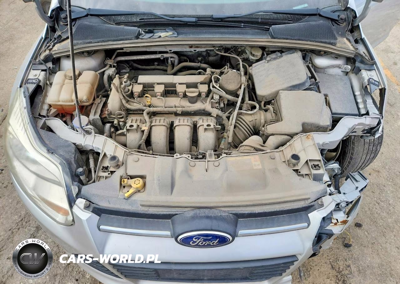 2013 Ford Focus Se VIN:1FADP3F24DL337482 - 11