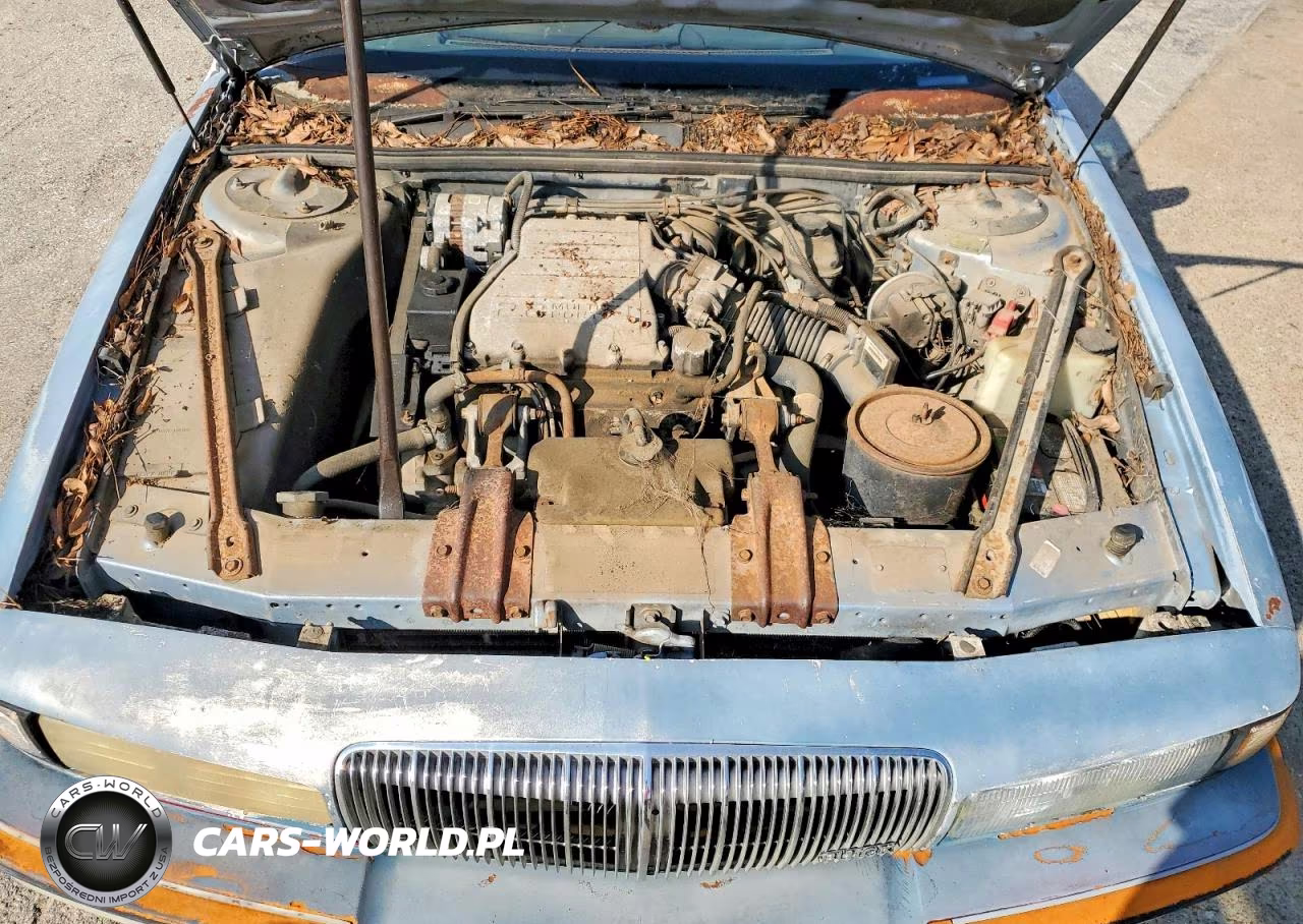 1988 Buick Regal Limited VIN:2G4WD14W3J1527339 - 11