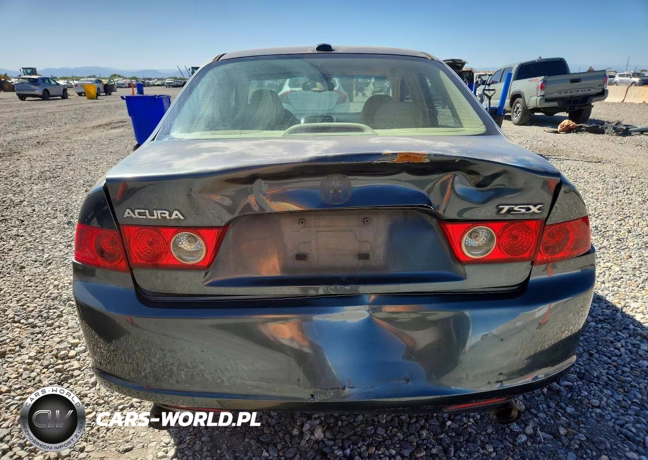 2006 Acura Tsx VIN:JH4CL96966C033816 - 6