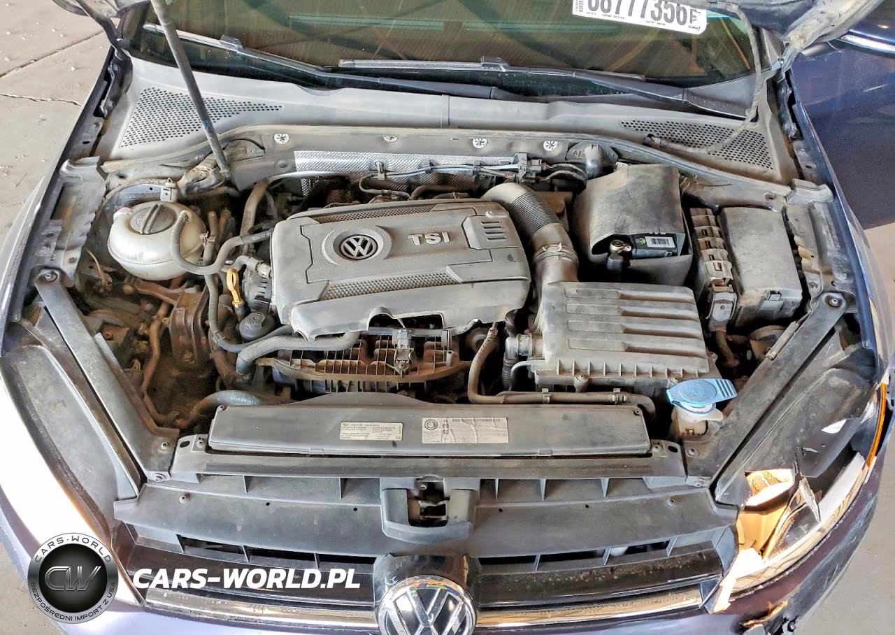 2016 Volkswagen Golf S-Se VIN:3VW217AU8GM013258 - 11