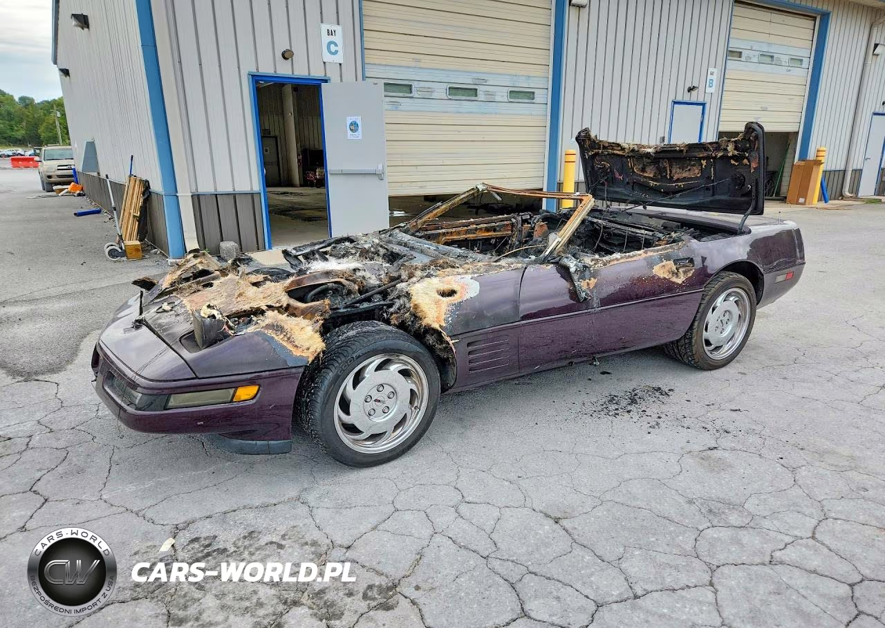 1992 Chevrolet Corvette VIN:1G1YY33P2N5110606 - 1