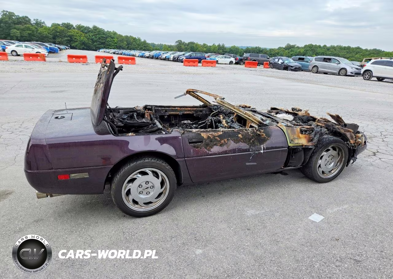 1992 Chevrolet Corvette VIN:1G1YY33P2N5110606 - 3