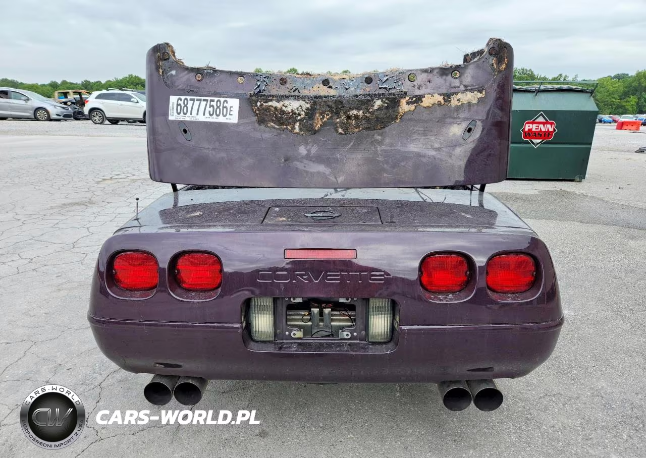 1992 Chevrolet Corvette VIN:1G1YY33P2N5110606 - 6