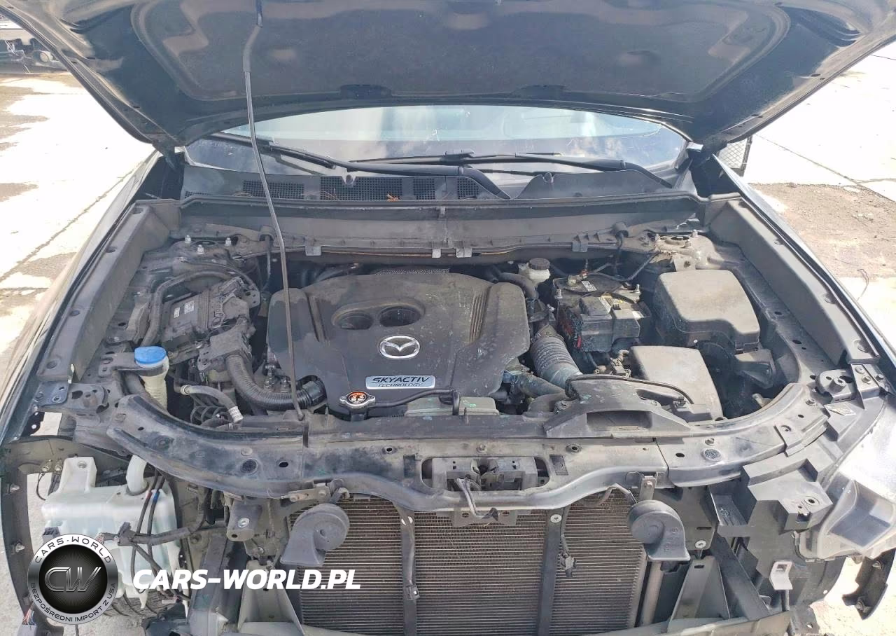 2019 Mazda Cx-9 Grand Touring VIN:JM3TCBDY3K0330323 - 12