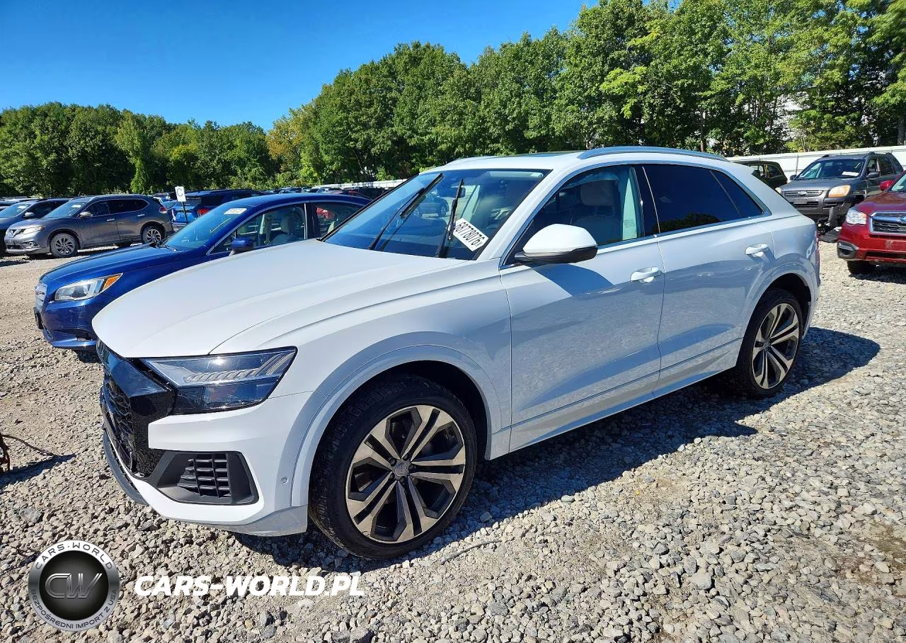 2019 Audi Q8 Premium Plus VIN:WA1BVAF10KD008024 - 1