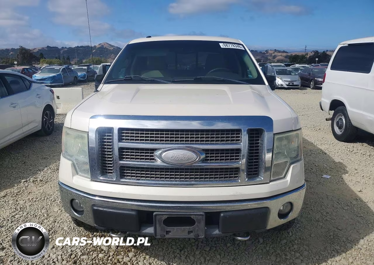 2009 Ford F150 Supercrew VIN:1FTPW14V99FA50902 - 5