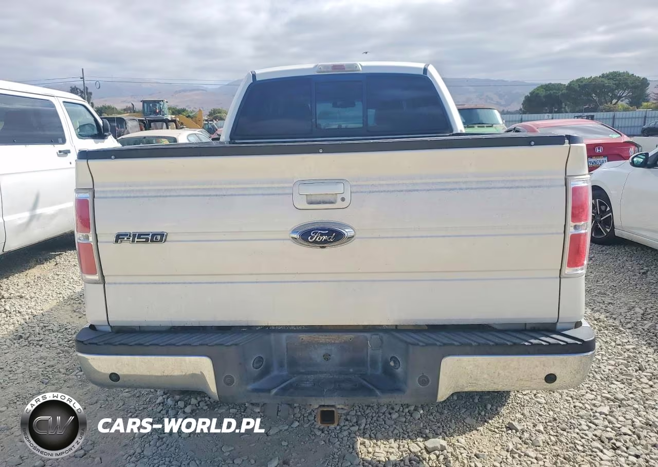 2009 Ford F150 Supercrew VIN:1FTPW14V99FA50902 - 6