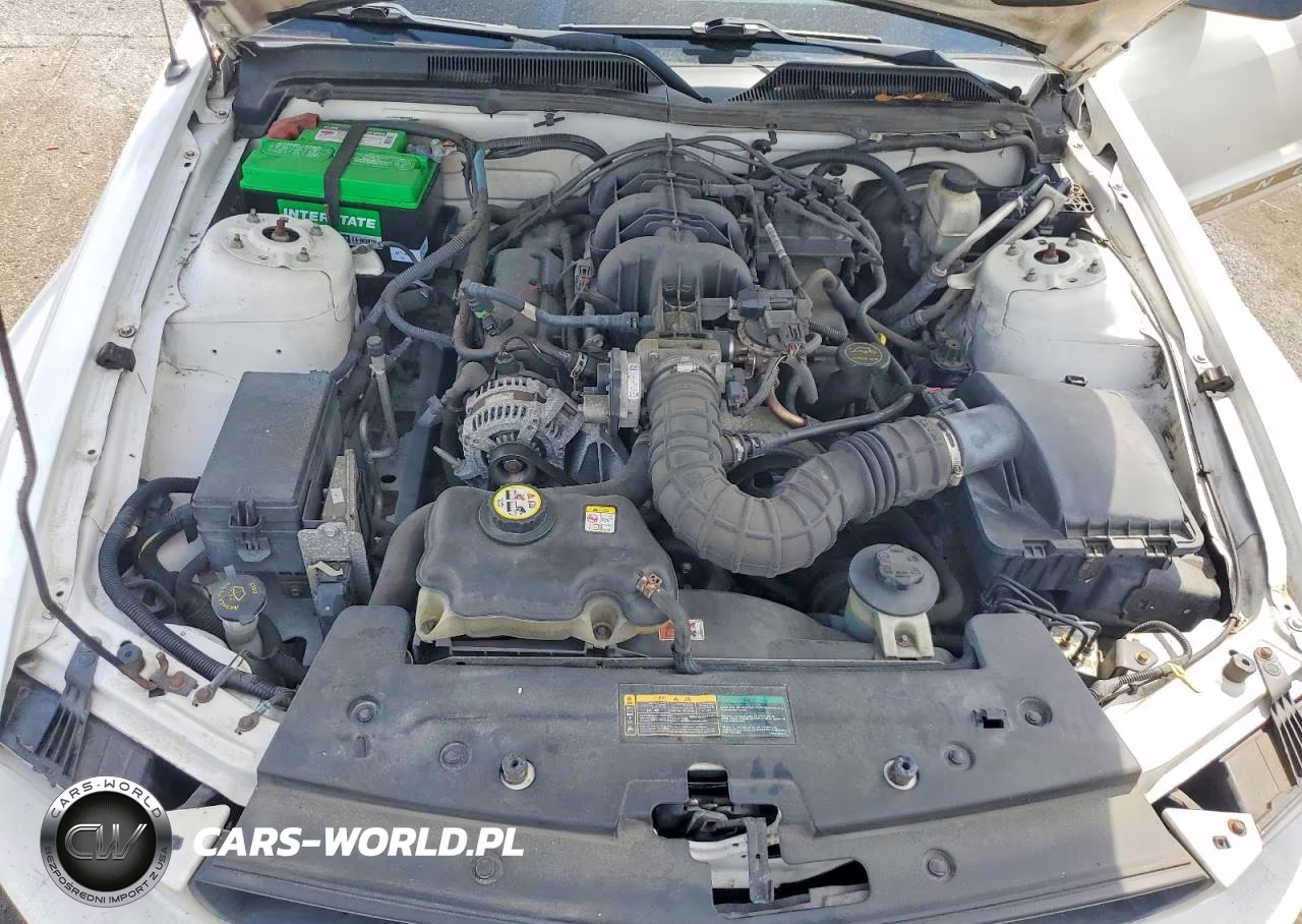 2009 Ford Mustang VIN:1ZVHT84NX95112994 - 11