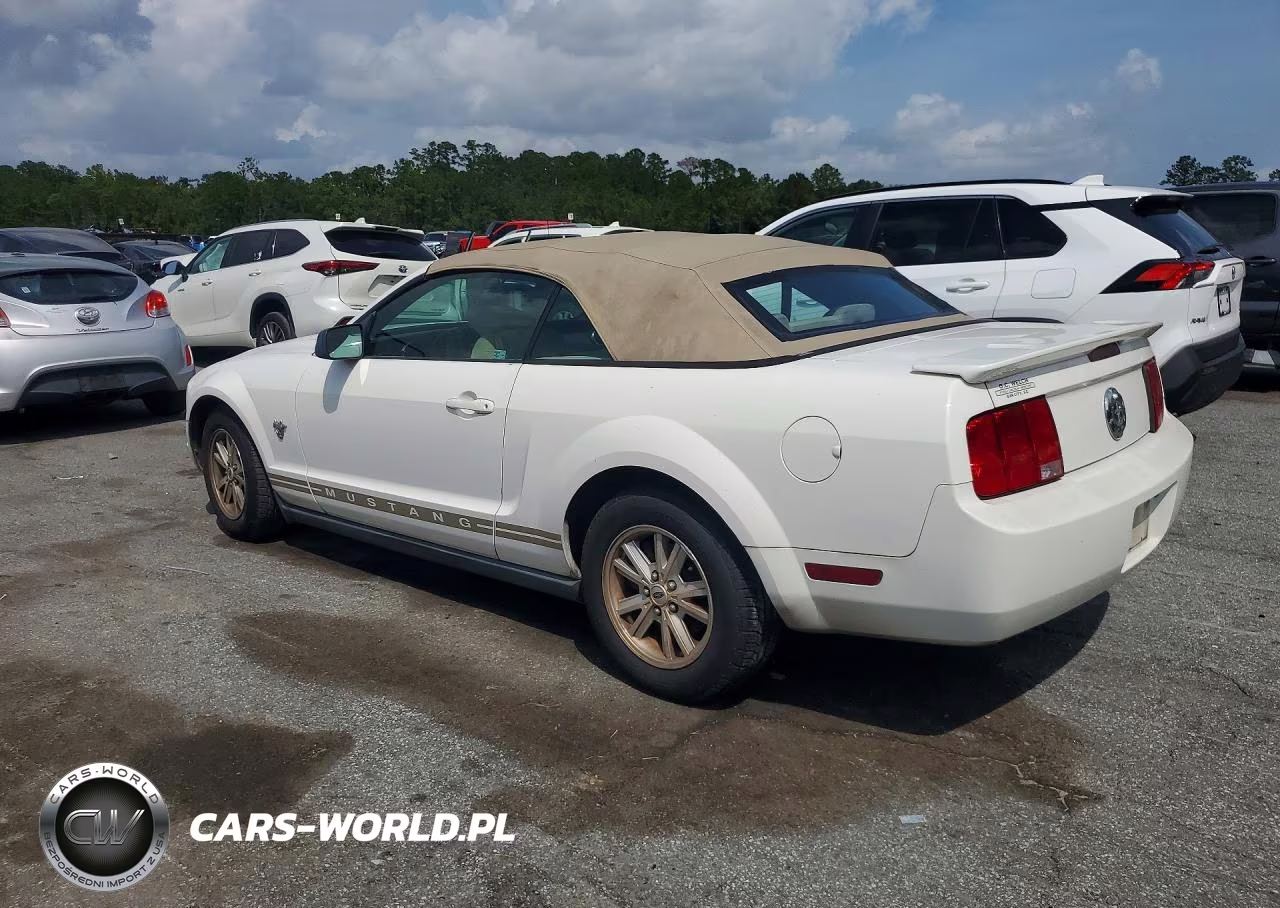 2009 Ford Mustang VIN:1ZVHT84NX95112994 - 2