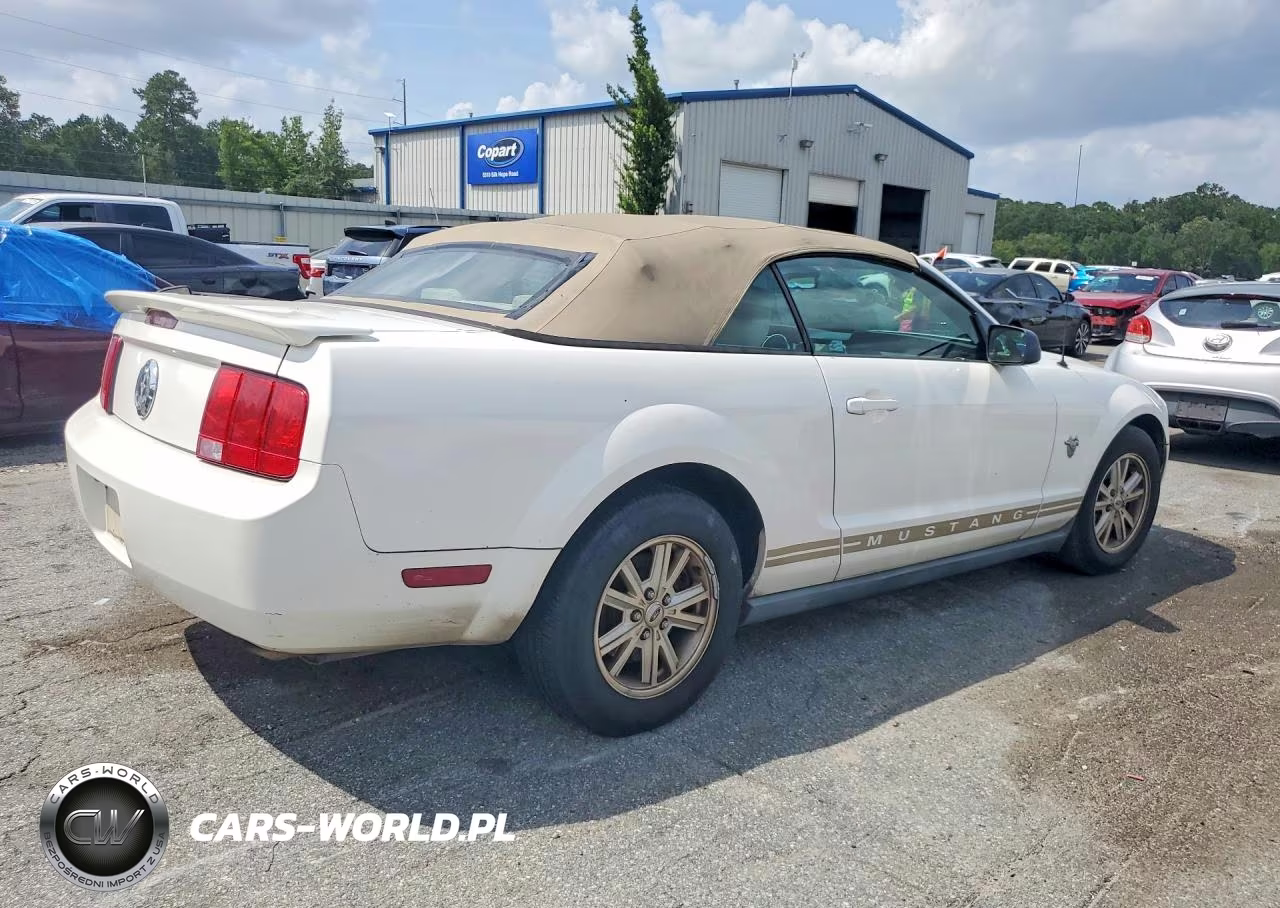2009 Ford Mustang VIN:1ZVHT84NX95112994 - 3