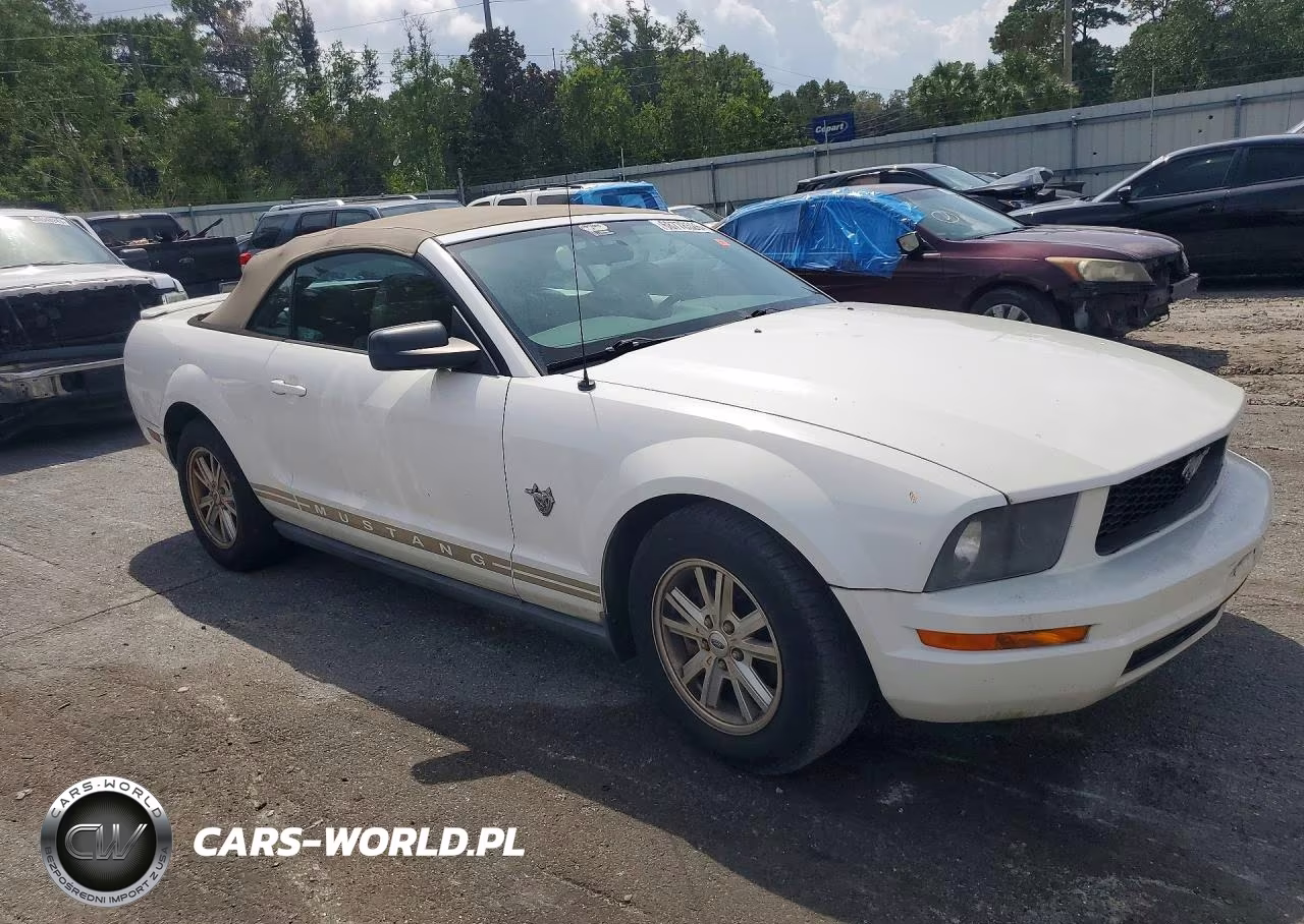 2009 Ford Mustang VIN:1ZVHT84NX95112994 - 4