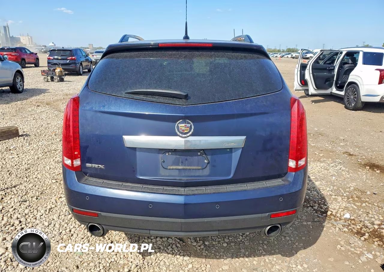 2010 Cadillac Srx Luxury Collection VIN:3GYFNAEY4AS625358 - 6