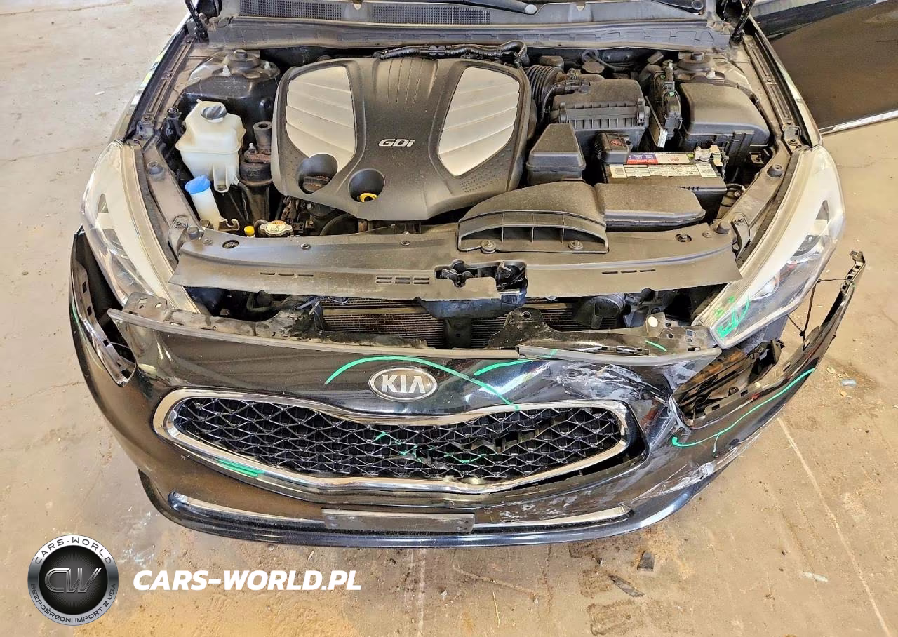 2014 Kia Cadenza Premium VIN:KNALN4D78E5120763 - 11