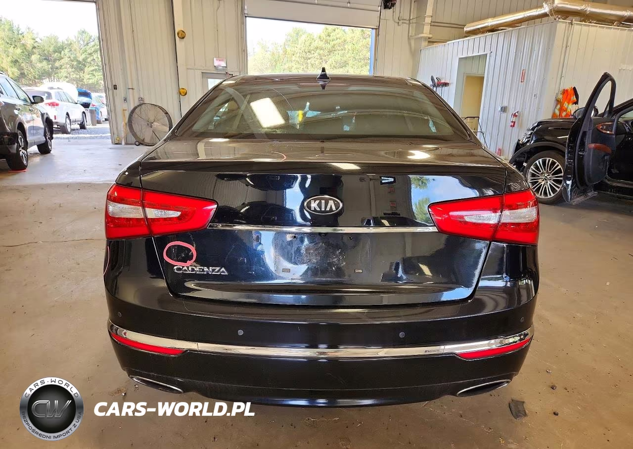 2014 Kia Cadenza Premium VIN:KNALN4D78E5120763 - 6
