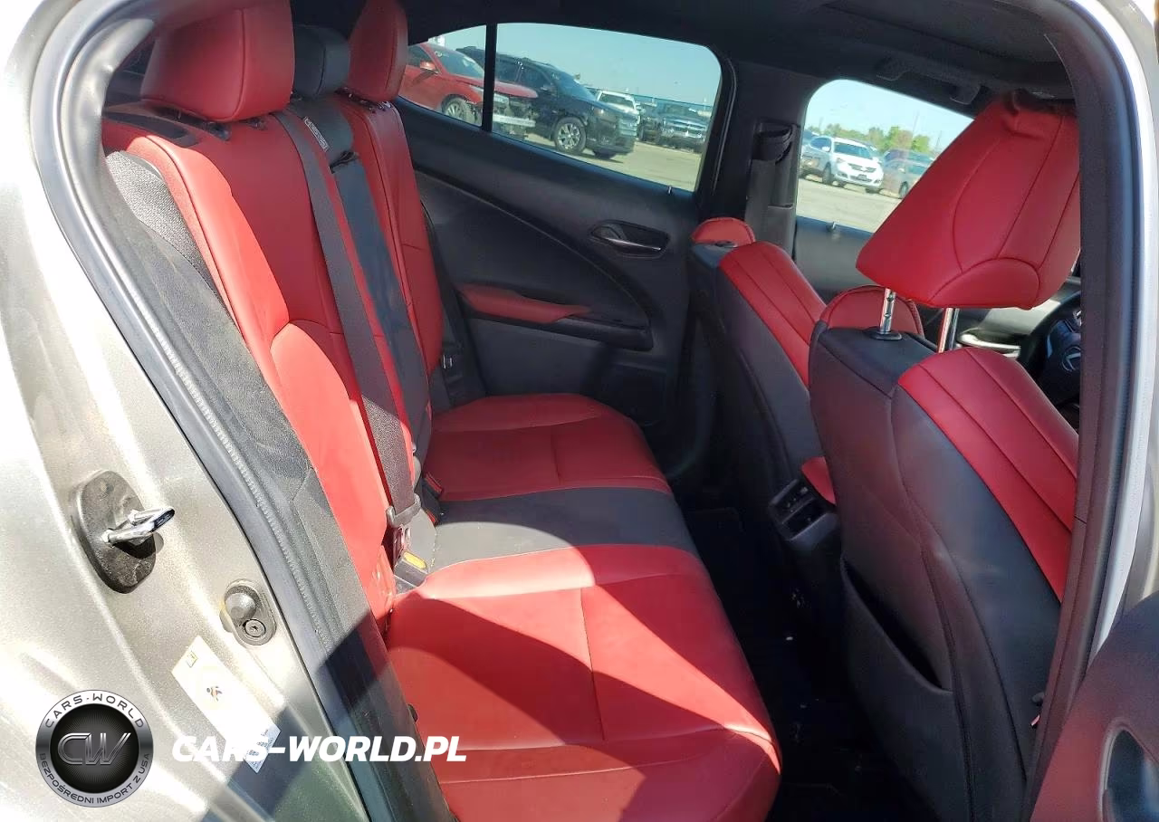 2019 Lexus Ux 250H VIN:JTHU9JBH2K2010762 - 10