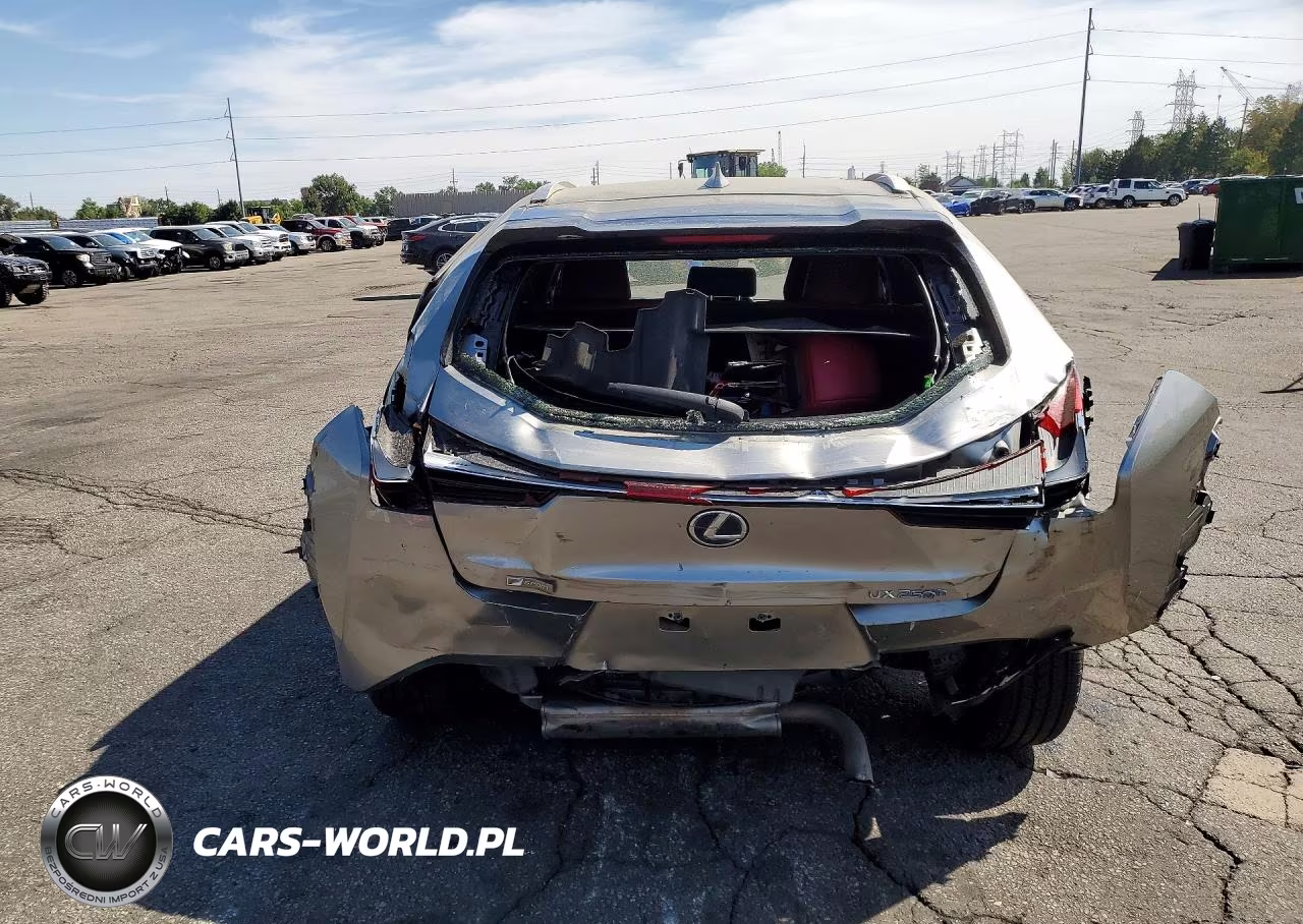 2019 Lexus Ux 250H VIN:JTHU9JBH2K2010762 - 6