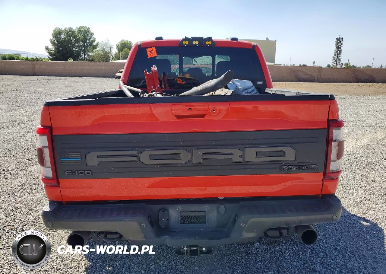 2022 Ford F150 Raptor VIN:1FTFW1RG4NFA04622 - 6