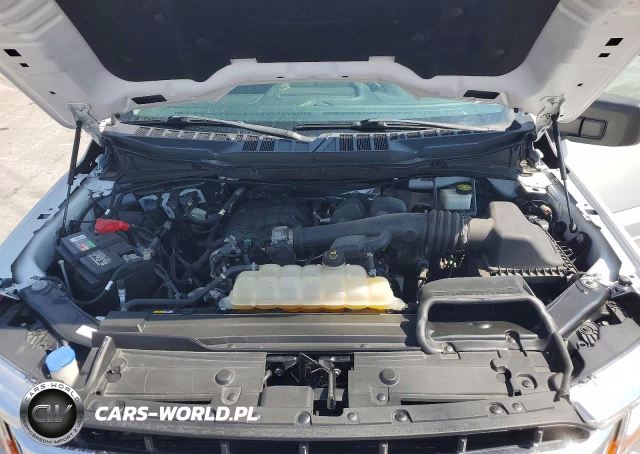 2022 Ford F150 VIN:1FTMF1CBXNKE11260 - 11