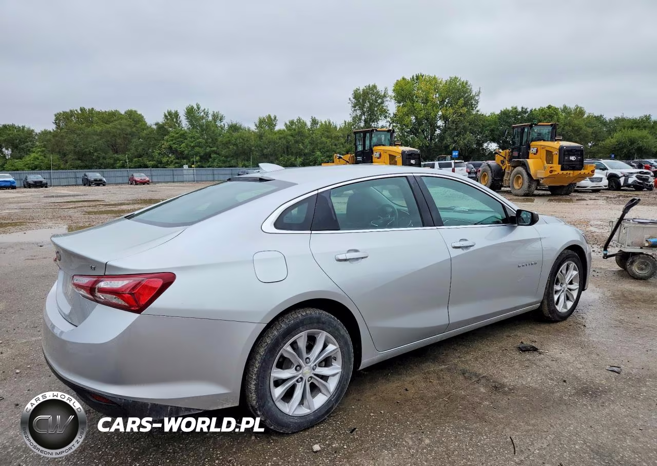 2019 Chevrolet Malibu Lt VIN:1G1ZD5ST2KF150667 - 3