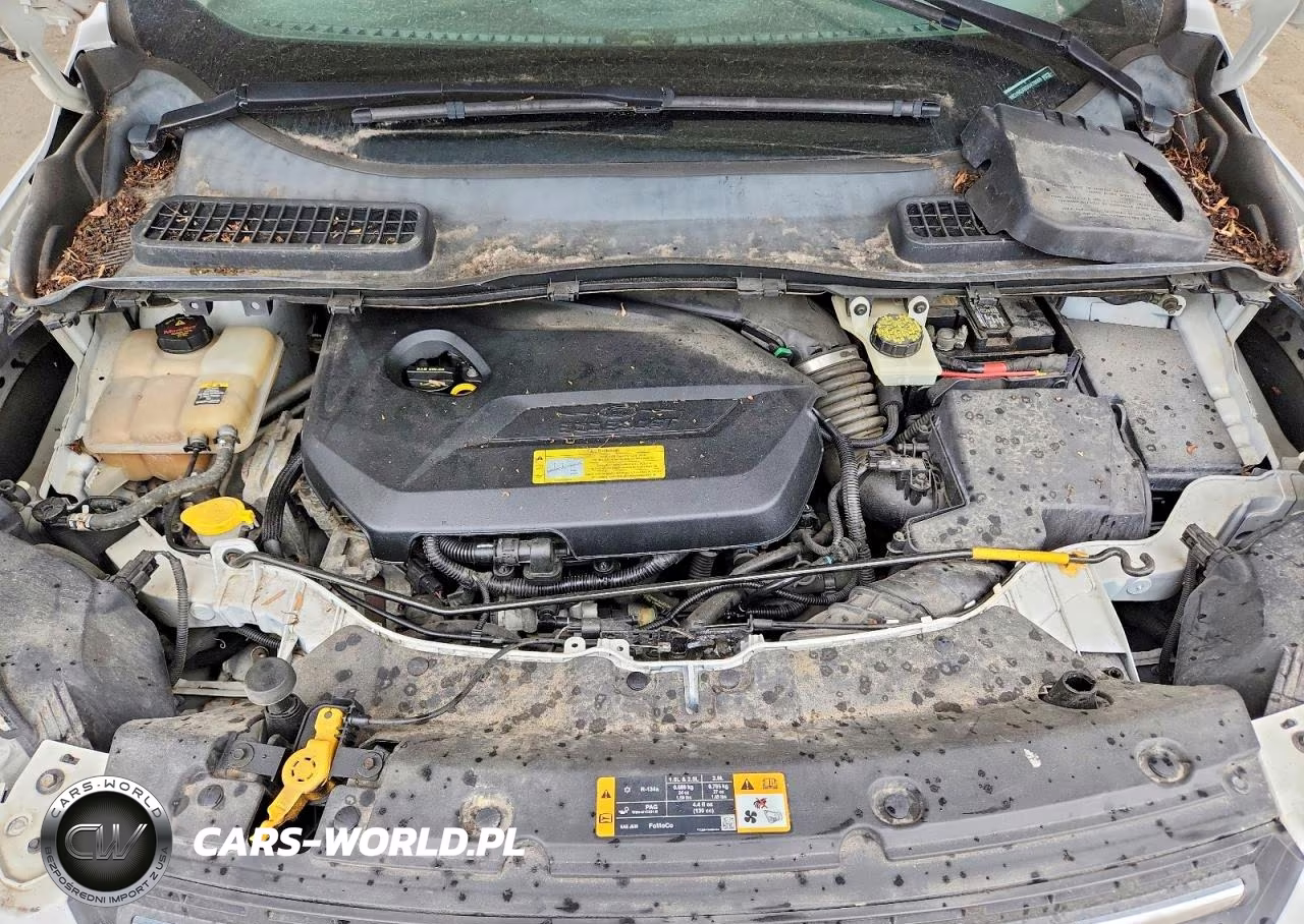 2013 Ford Escape Se VIN:1FMCU9GX6DUA70069 - 12
