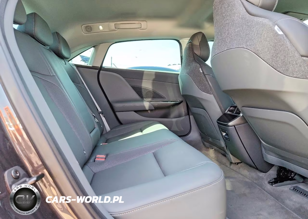 2025 Lucid Motors Air Pure VIN:50EA1PGA2SA011132 - 10
