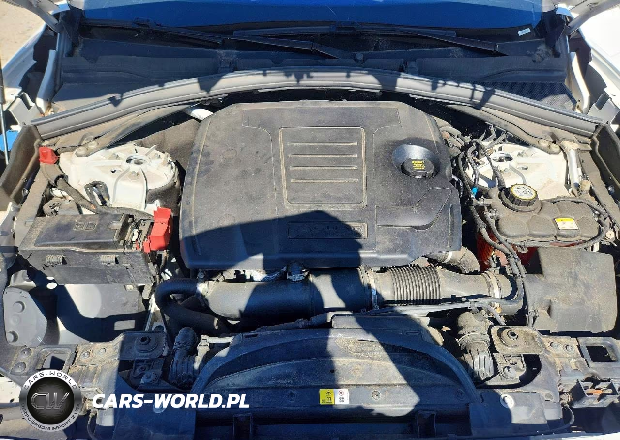 2019 Jaguar F-Pace VIN:SADCS2FX4KA364933 - 12