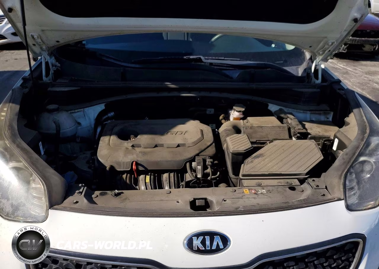 2019 Kia Sportage Lx VIN:KNDPM3AC9K7509463 - 11