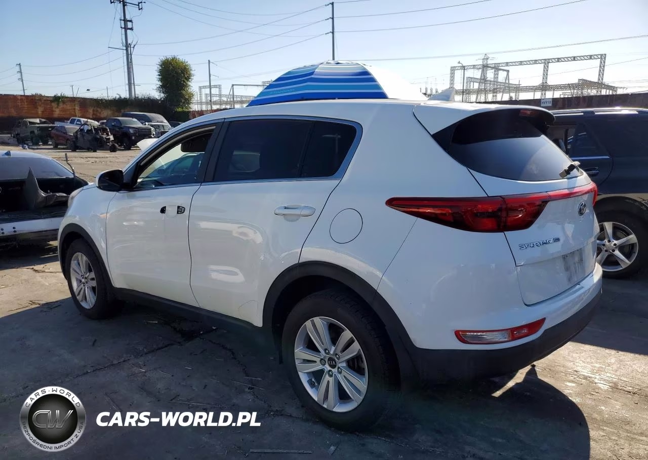 2019 Kia Sportage Lx VIN:KNDPM3AC9K7509463 - 2