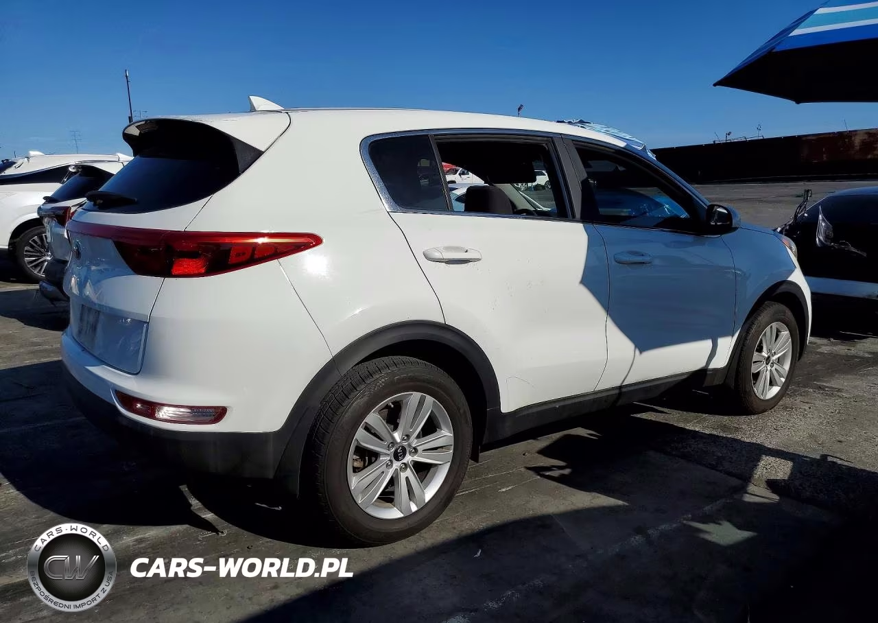 2019 Kia Sportage Lx VIN:KNDPM3AC9K7509463 - 3