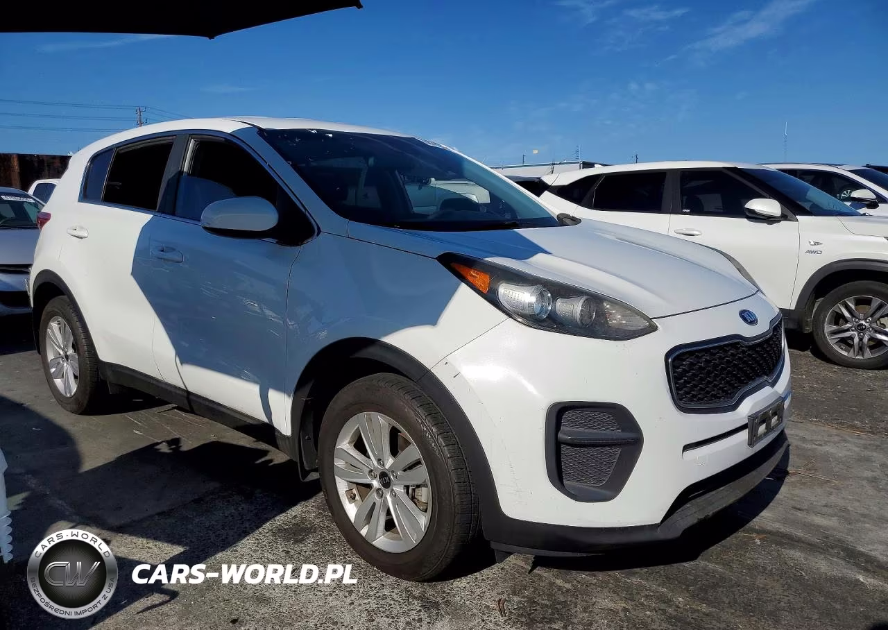 2019 Kia Sportage Lx VIN:KNDPM3AC9K7509463 - 4