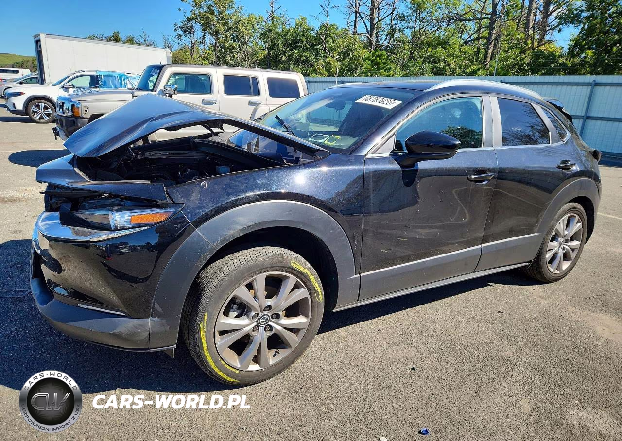 2024 Mazda Cx-30 Preferred VIN:3MVDMBCM9RM667092 - 1