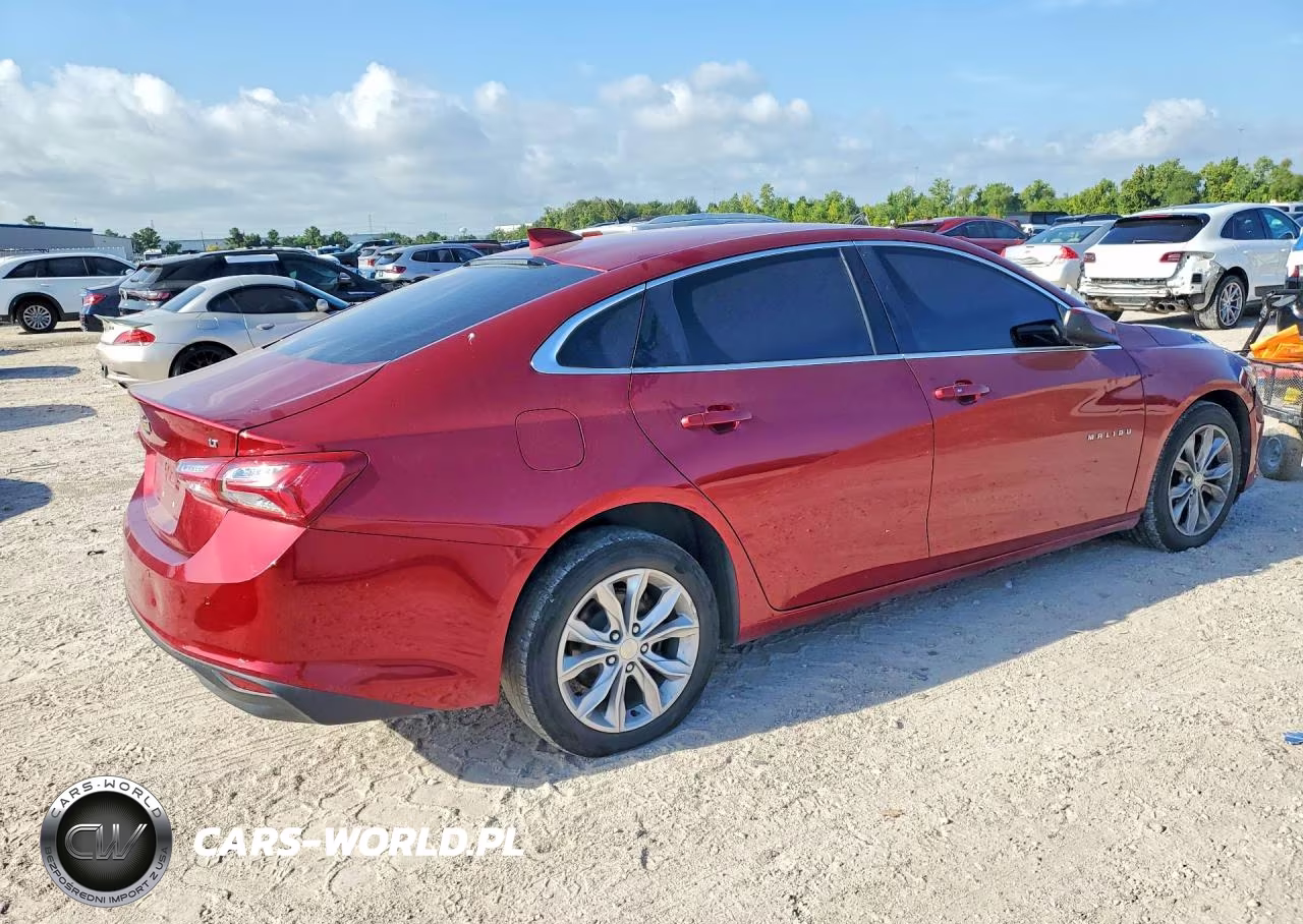 2019 Chevrolet Malibu Lt VIN:1G1ZD5ST3KF180115 - 3