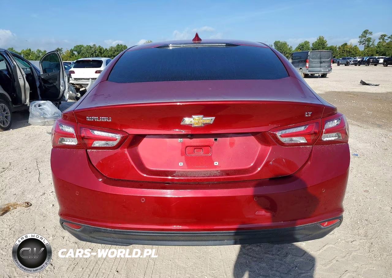 2019 Chevrolet Malibu Lt VIN:1G1ZD5ST3KF180115 - 6