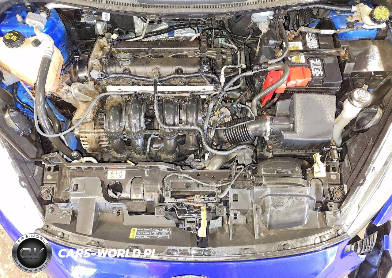 2015 Ford Fiesta Se VIN:3FADP4EJ7FM152973 - 11