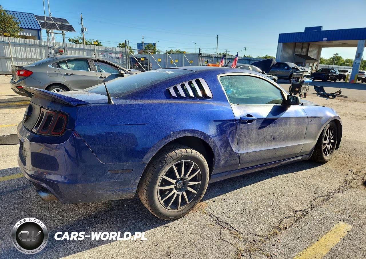 2013 Ford Mustang VIN:1ZVBP8AM8D5252685 - 3