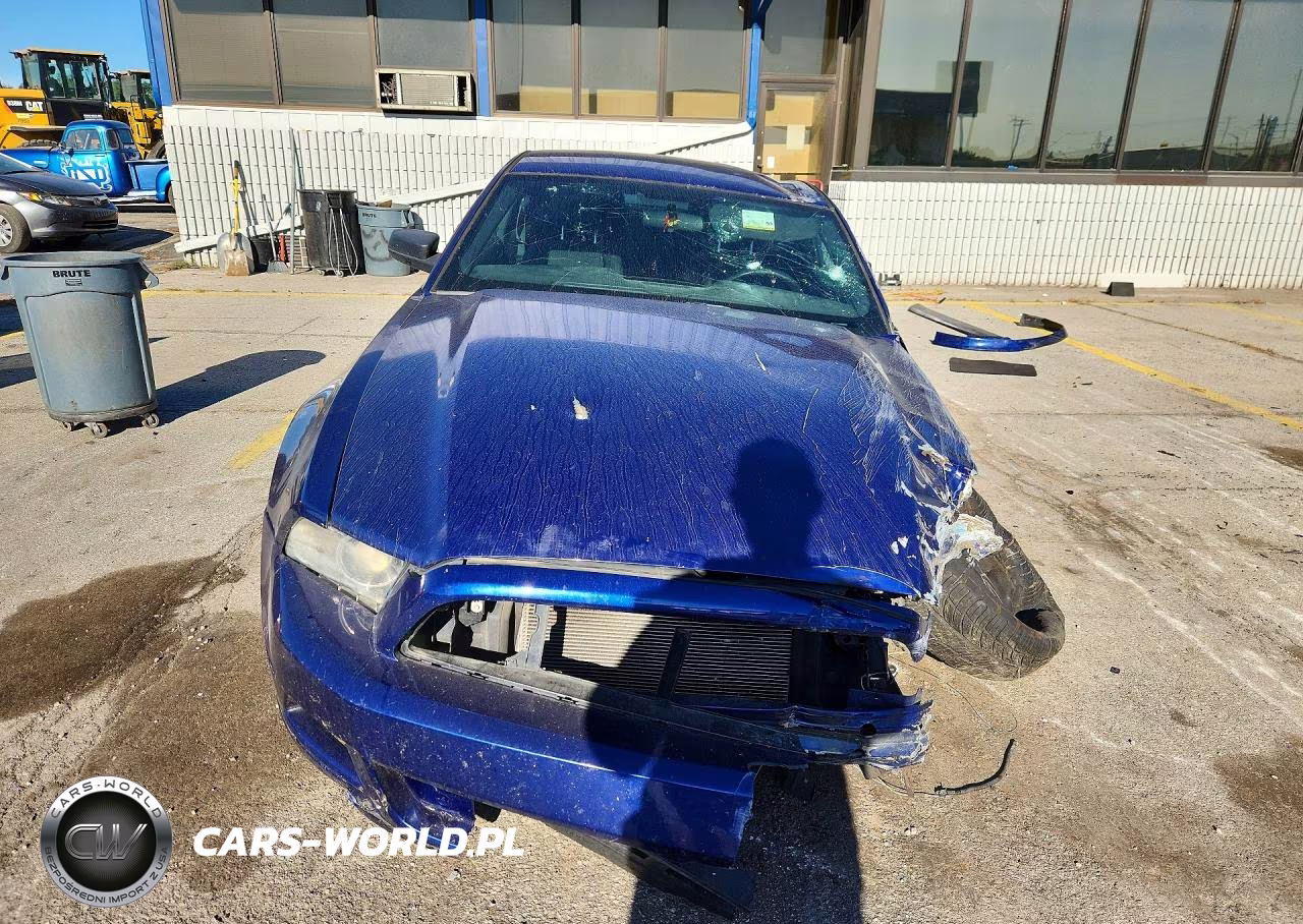 2013 Ford Mustang VIN:1ZVBP8AM8D5252685 - 5