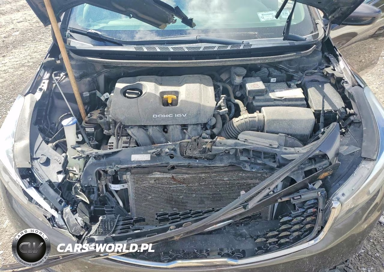 2017 Kia Forte Lx VIN:3KPFK4A70HE120519 - 11